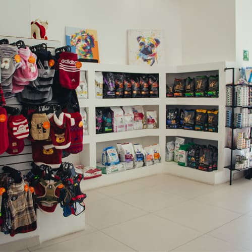 tienda-bajapet